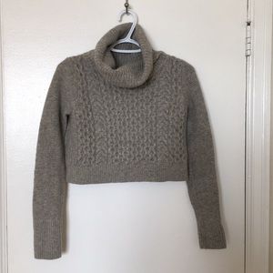 Club Monaco crop sweater
